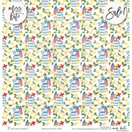 american summer paper sticker kit 12x12 ds 528