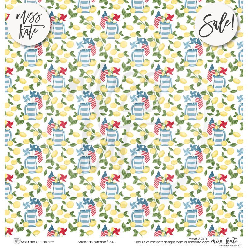 american summer paper sticker kit 12x12 ds 528