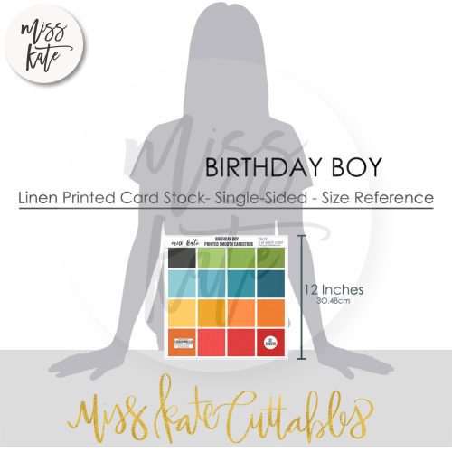 birthday boy linen printed smooth cardstock single sided 942